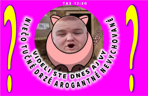 Príspevok 221384